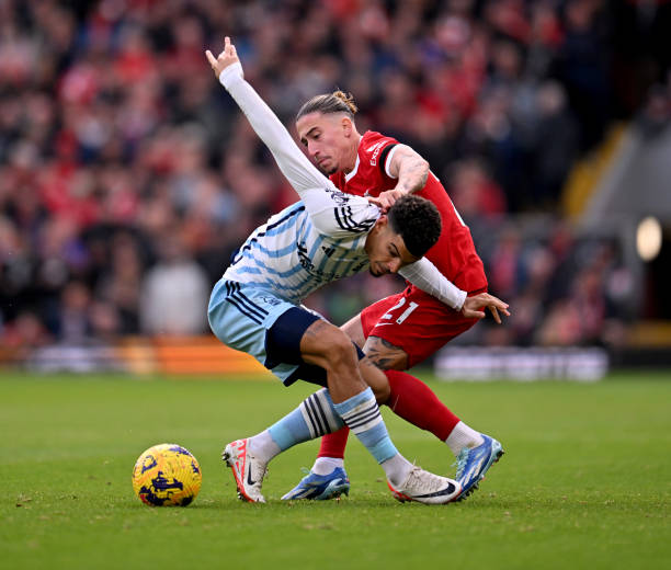 的实力解析 的实力解析