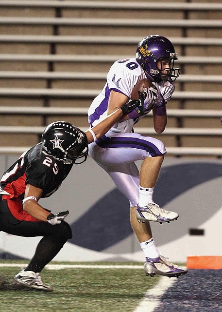 阁中的敏感 阁中的敏感