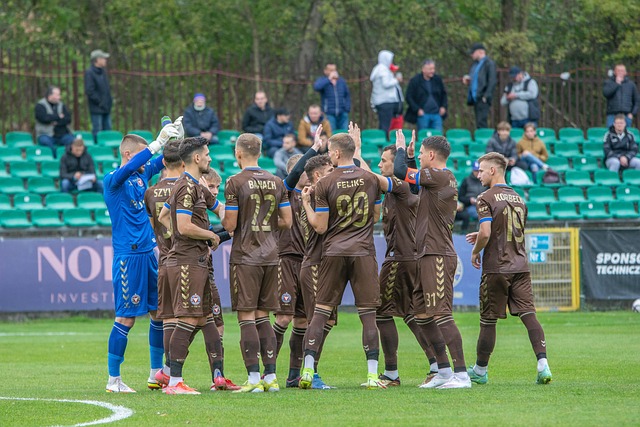 建立了高效 建立了高效